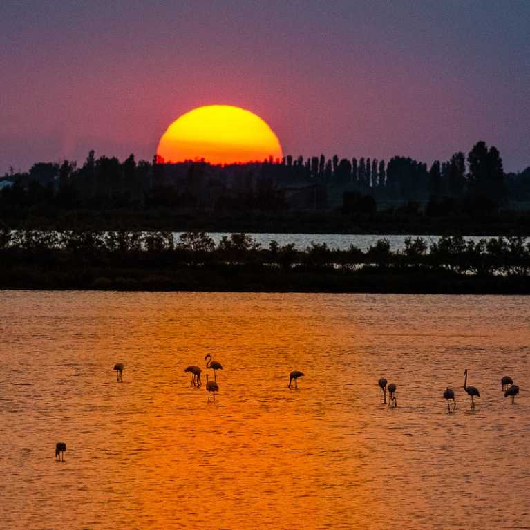 Tramonto a Valli di Rosolina